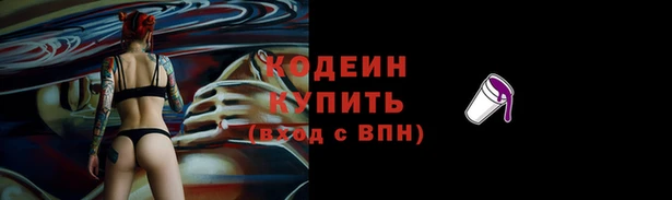 Альфа ПВП Ладушкин