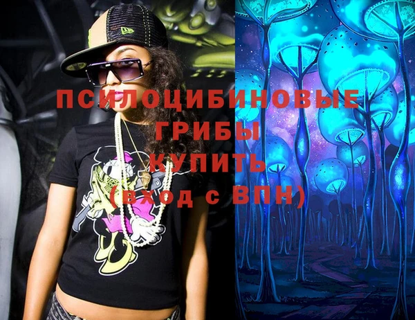 apvp Лагань