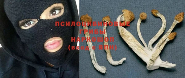 Альфа ПВП Ладушкин