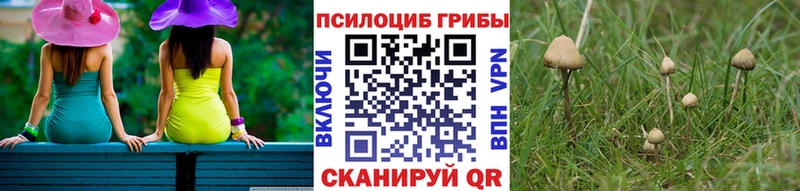 Псилоцибиновые грибы ЛСД Купить Петров Вал