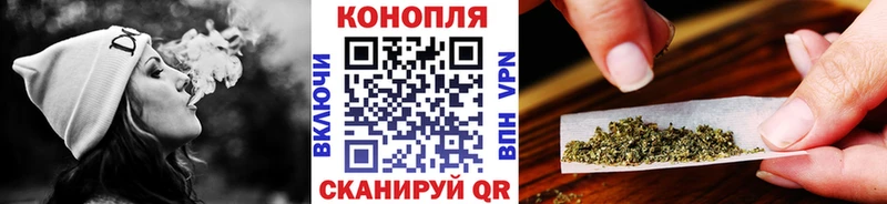 Конопля семена Купить Петров Вал